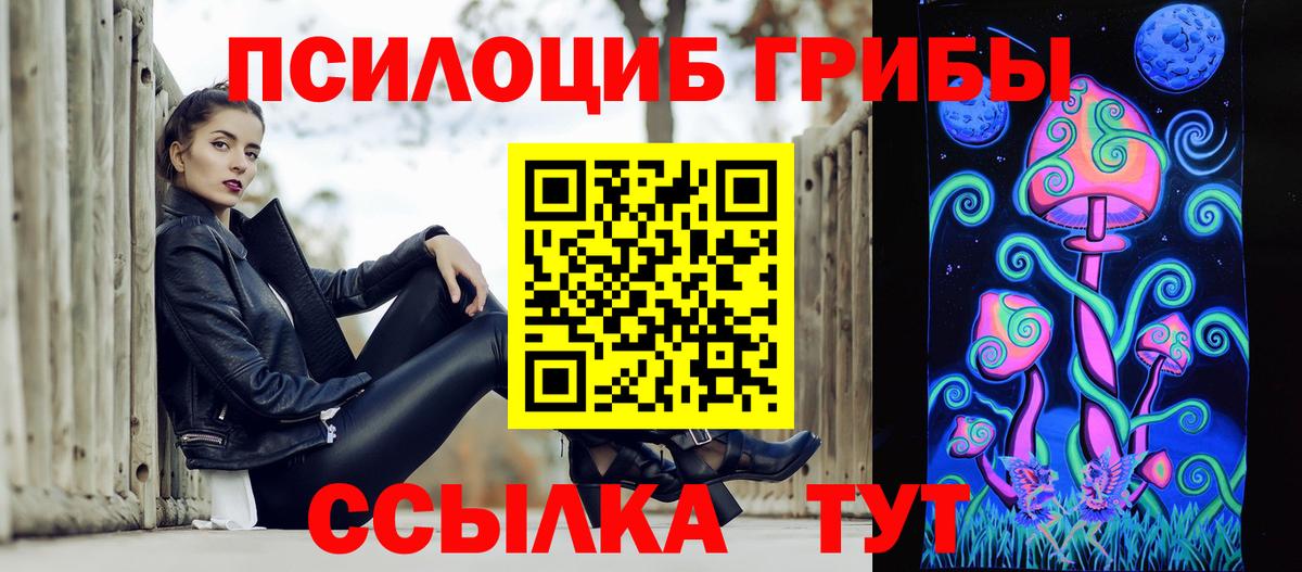 Псилоцибиновые грибы Psilocybe  Вход с VPN  Кудрово  Псилоцибиновые грибы прущие грибы 